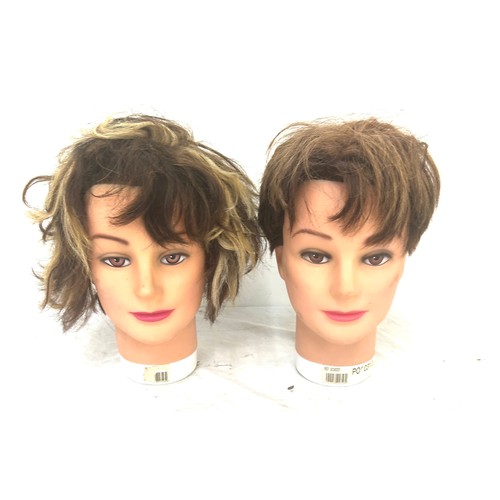 15 - Selection of 2 mannequin heads