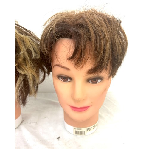 15 - Selection of 2 mannequin heads