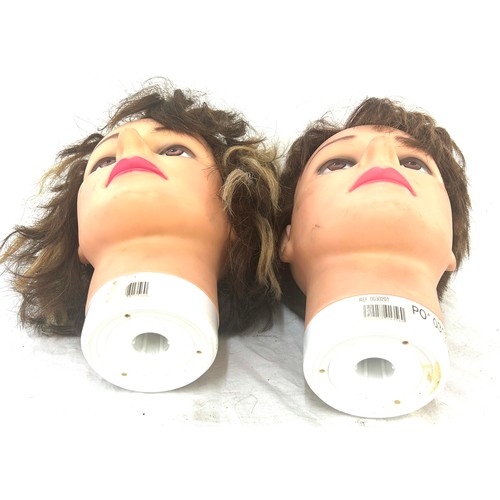 15 - Selection of 2 mannequin heads