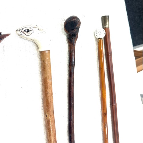 177 - Selection of vintage walking sticks to include ones with novelty animal handles and horse whips