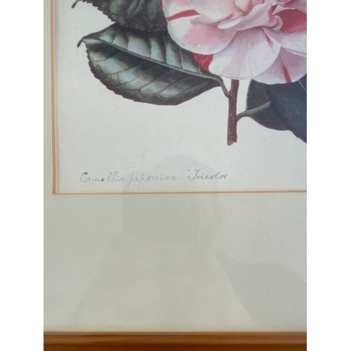 191 - Large selection of framed pictures and prints, some signed, largest measures approximately 17 inches... 