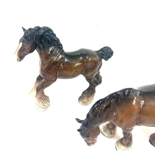 389 - Beswick Shire prancing horse, shire horse grazing, both in good overall condition