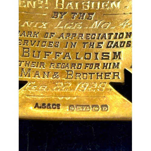 461 - 9ct gold royal antediluvian order of buffaloisa medal Vovember 12 1925 presented to Bro E. Baisden b... 