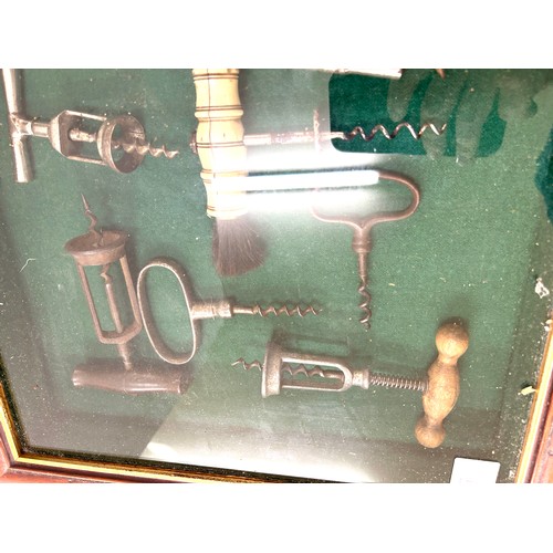 47 - Antique cork screws in case