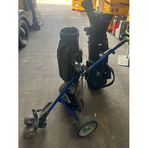 265 - Selection of Hippo golf clubs and bags