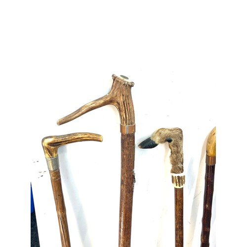 145 - Selection of vintage wooden walking sticks with bone / antler handles (9 in total)