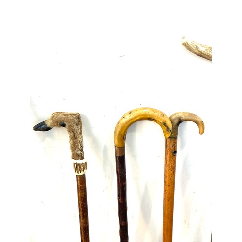 145 - Selection of vintage wooden walking sticks with bone / antler handles (9 in total)