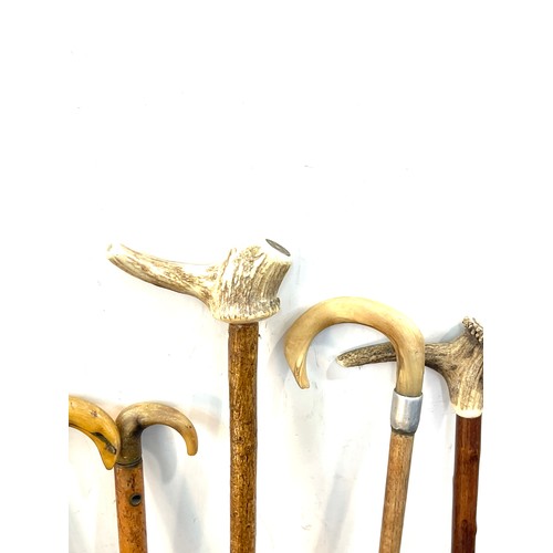 145 - Selection of vintage wooden walking sticks with bone / antler handles (9 in total)