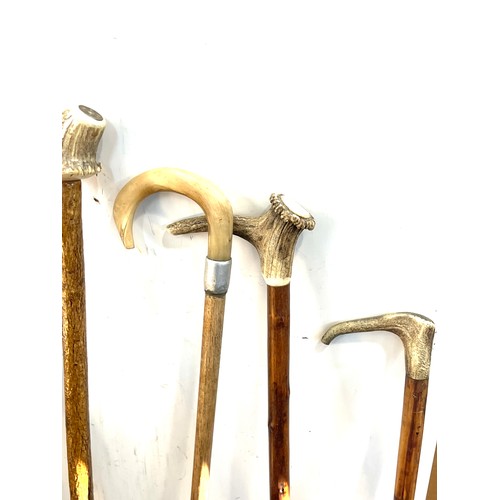 145 - Selection of vintage wooden walking sticks with bone / antler handles (9 in total)