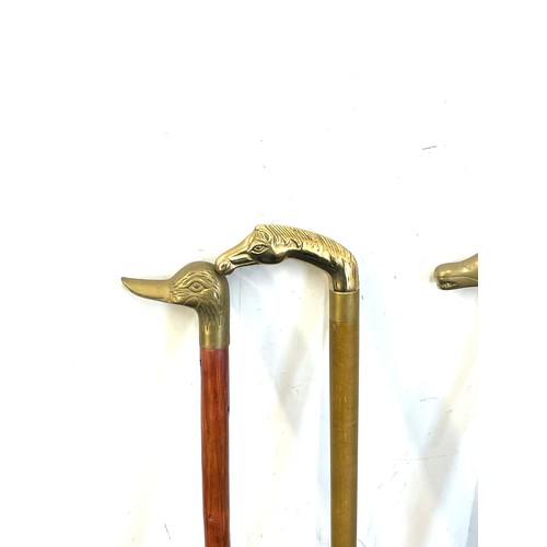 115 - Selection of vintage wooden walking sticks with brass handles includes duck, horse, dog etc