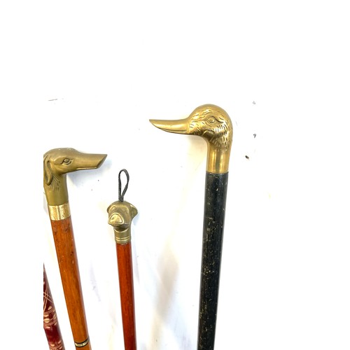 107 - Selection of vintage wooden walking sticks with brass handles includes dogs, horse and duck