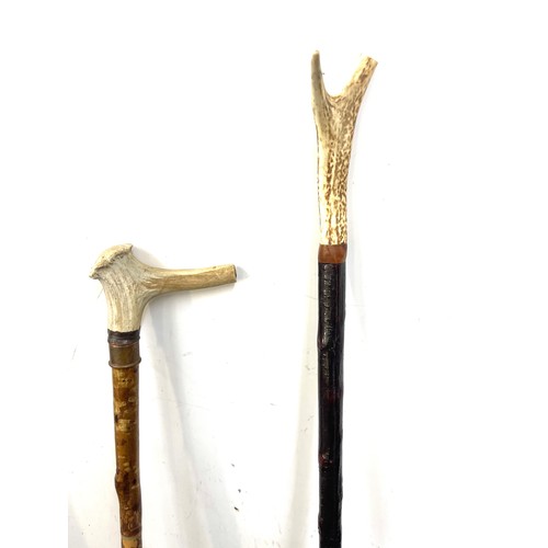 140 - 3 Vintage bone handled shepherd crooks tallest measures approximately 56 inches