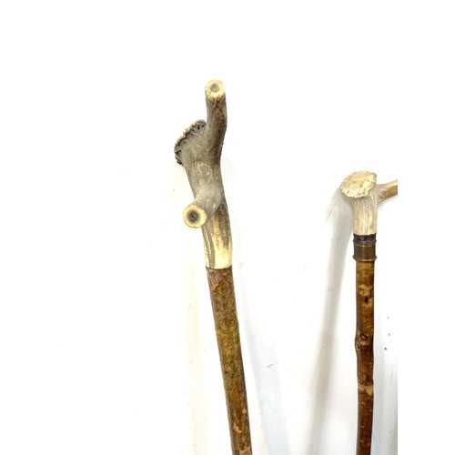 140 - 3 Vintage bone handled shepherd crooks tallest measures approximately 56 inches