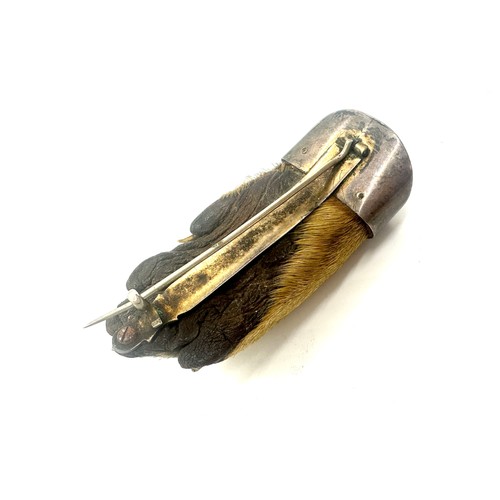 451 - Victorian taxidermy interest otters paw brooch dated 1898. and marked BDH, possibly Braes of Derwent... 