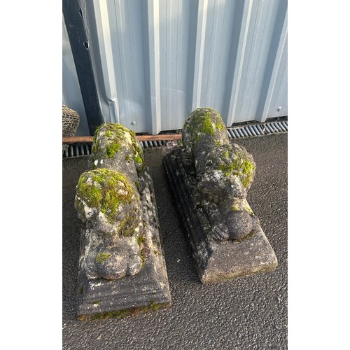 100S - Pair of Victorian concrete lion garden ornaments measures approx 11 inches by 16 inches by 26 inches