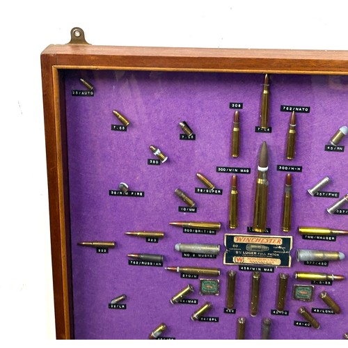 135 - Cased diorama of various used shells / bullets and ammunition 62 cm by 61cm.