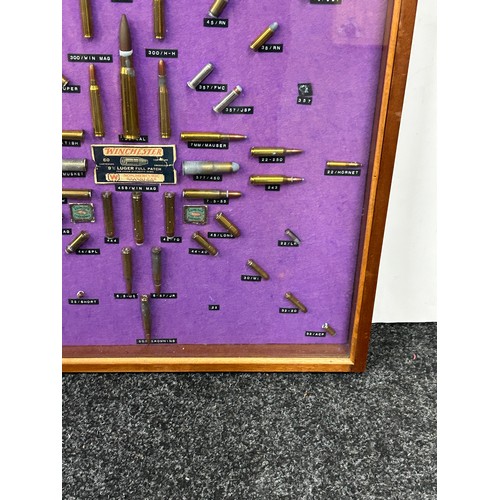 135 - Cased diorama of various used shells / bullets and ammunition 62 cm by 61cm.