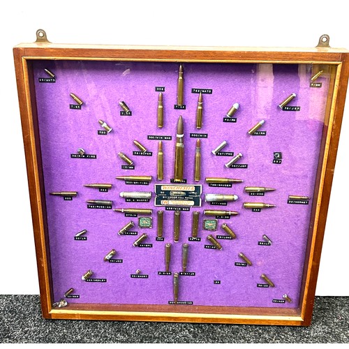 135 - Cased diorama of various used shells / bullets and ammunition 62 cm by 61cm.