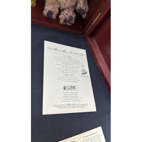 52 - Steiff Bear Ltd Edition Set 1999-2003 in display case, case measures approximately 11inches tall 16 ... 