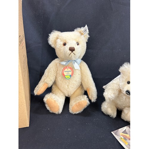 48 - 2 Boxed Steiff bears includes teddybear 1953 replica and 028496