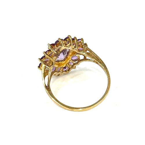 106 - 9ct gold amethyst cluster ring (3.2g)