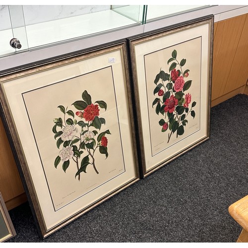 134A - Pair of framed prints depicting flowers by John and Arthur Arch, Cornhill measures approx 32 inches ... 