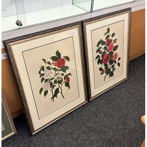 134A - Pair of framed prints depicting flowers by John and Arthur Arch, Cornhill measures approx 32 inches ... 