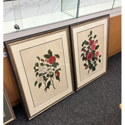 134A - Pair of framed prints depicting flowers by John and Arthur Arch, Cornhill measures approx 32 inches ... 