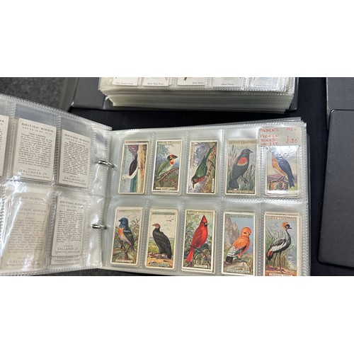 210 - Five albums of vintage cigarette cards includes Wills, black cat, John Player  etc