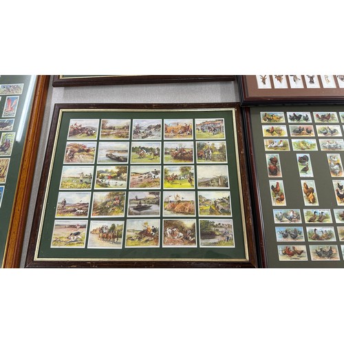 135A - Selection of Framed cigarette cards, largest measures approximately 28 inches tall