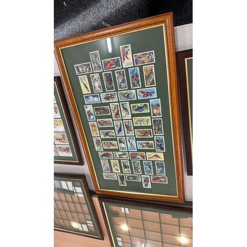 135A - Selection of Framed cigarette cards, largest measures approximately 28 inches tall