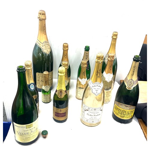 234 - Selection of 13 empty Champagne bottles (Display purposes only)