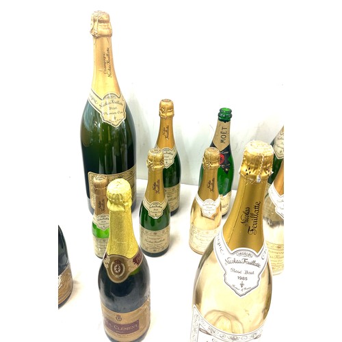 234 - Selection of 13 empty Champagne bottles (Display purposes only)