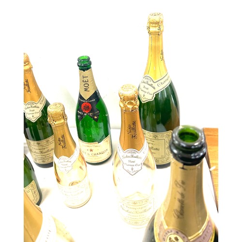 234 - Selection of 13 empty Champagne bottles (Display purposes only)