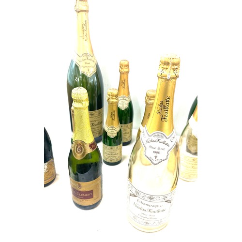 234 - Selection of 13 empty Champagne bottles (Display purposes only)