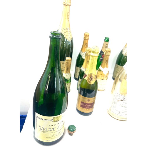 234 - Selection of 13 empty Champagne bottles (Display purposes only)