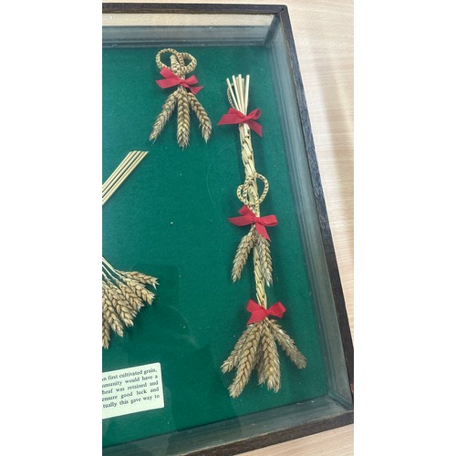 303 - Selection of corn dollies within glass and wooden display cabinet, cabinet measures: Height  18.5 in... 