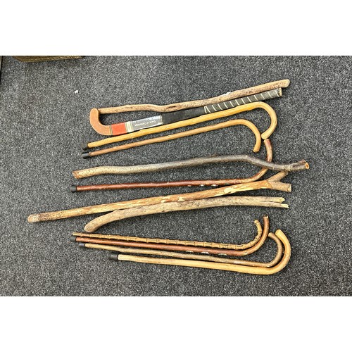 231 - Selection of vintage walking sticks