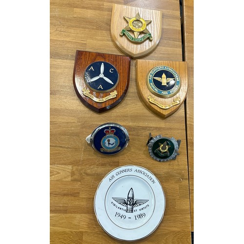 103 - Selection of Royal Air Force memorabilia to include ' The Burma Star ASSOC' badge and the ' Squadron... 