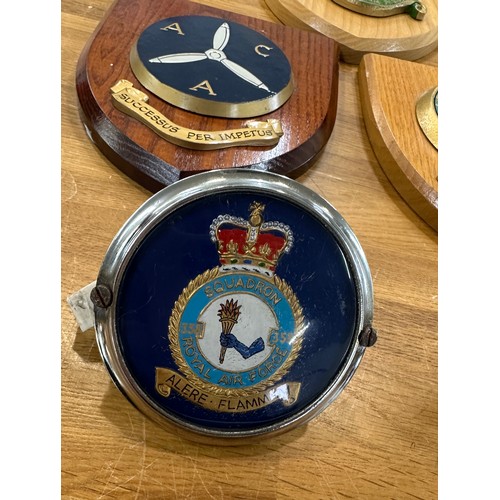 103 - Selection of Royal Air Force memorabilia to include ' The Burma Star ASSOC' badge and the ' Squadron... 