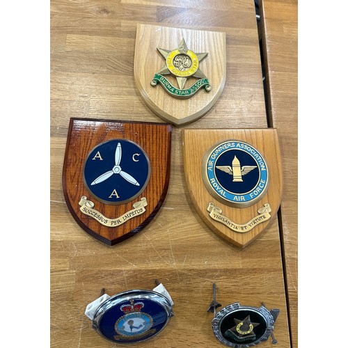 103 - Selection of Royal Air Force memorabilia to include ' The Burma Star ASSOC' badge and the ' Squadron... 