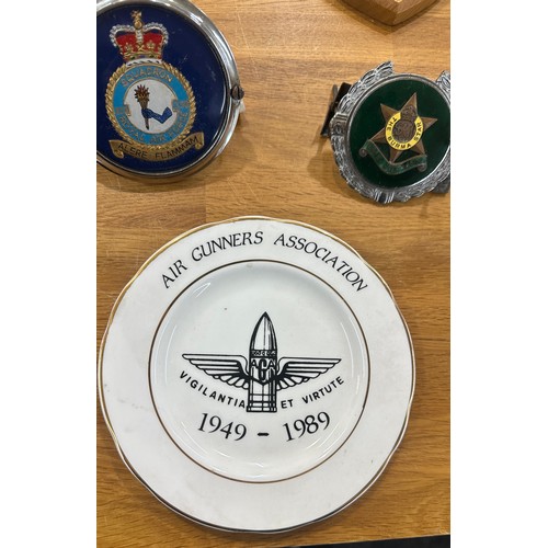 103 - Selection of Royal Air Force memorabilia to include ' The Burma Star ASSOC' badge and the ' Squadron... 