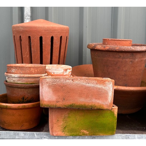 101D - Large shelf of Terracotta plant pots various sizes