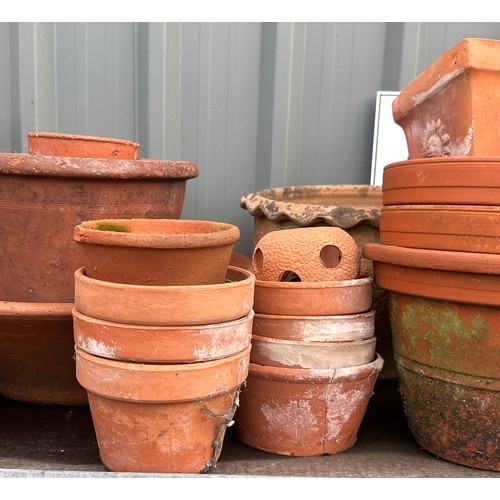 101D - Large shelf of Terracotta plant pots various sizes