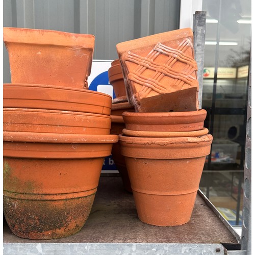 101D - Large shelf of Terracotta plant pots various sizes