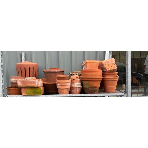 101D - Large shelf of Terracotta plant pots various sizes