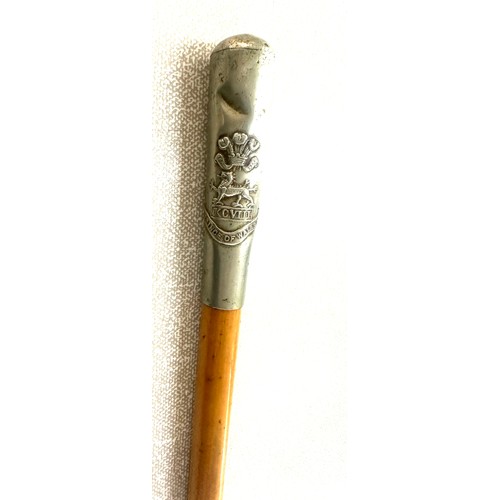 471 - Prince of Wales Reg swagger stick