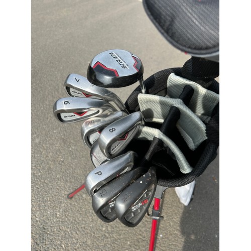 262 - Strata golf bag and a selection of clubs to include Strata etc