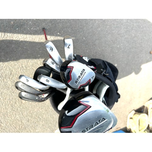 262 - Strata golf bag and a selection of clubs to include Strata etc