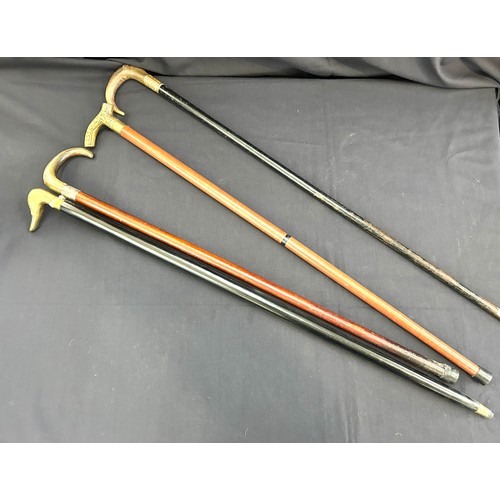 145 - Four walking sticks, two brass handled, one silver rimmed and one gold plated